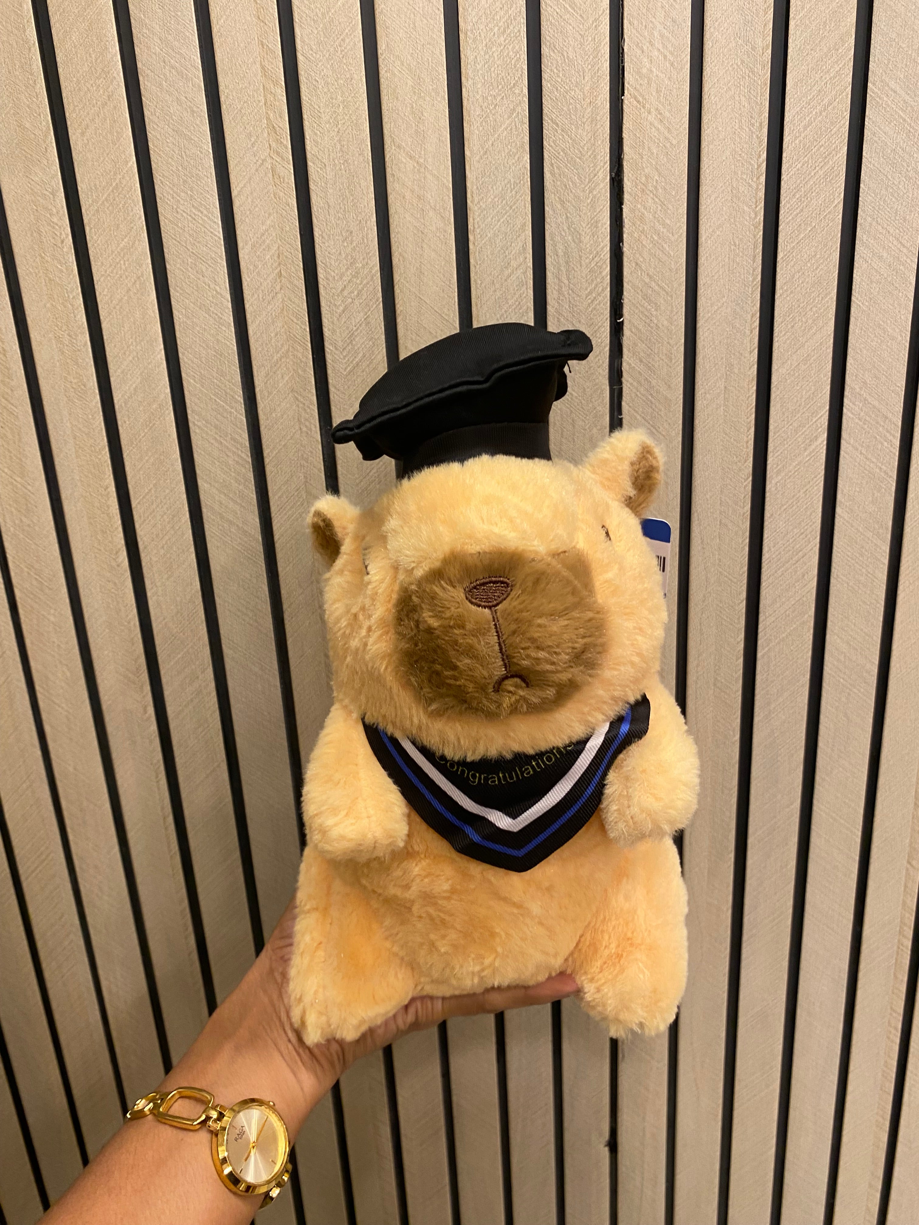 Graduate Bear Plush Toy (1pcs)