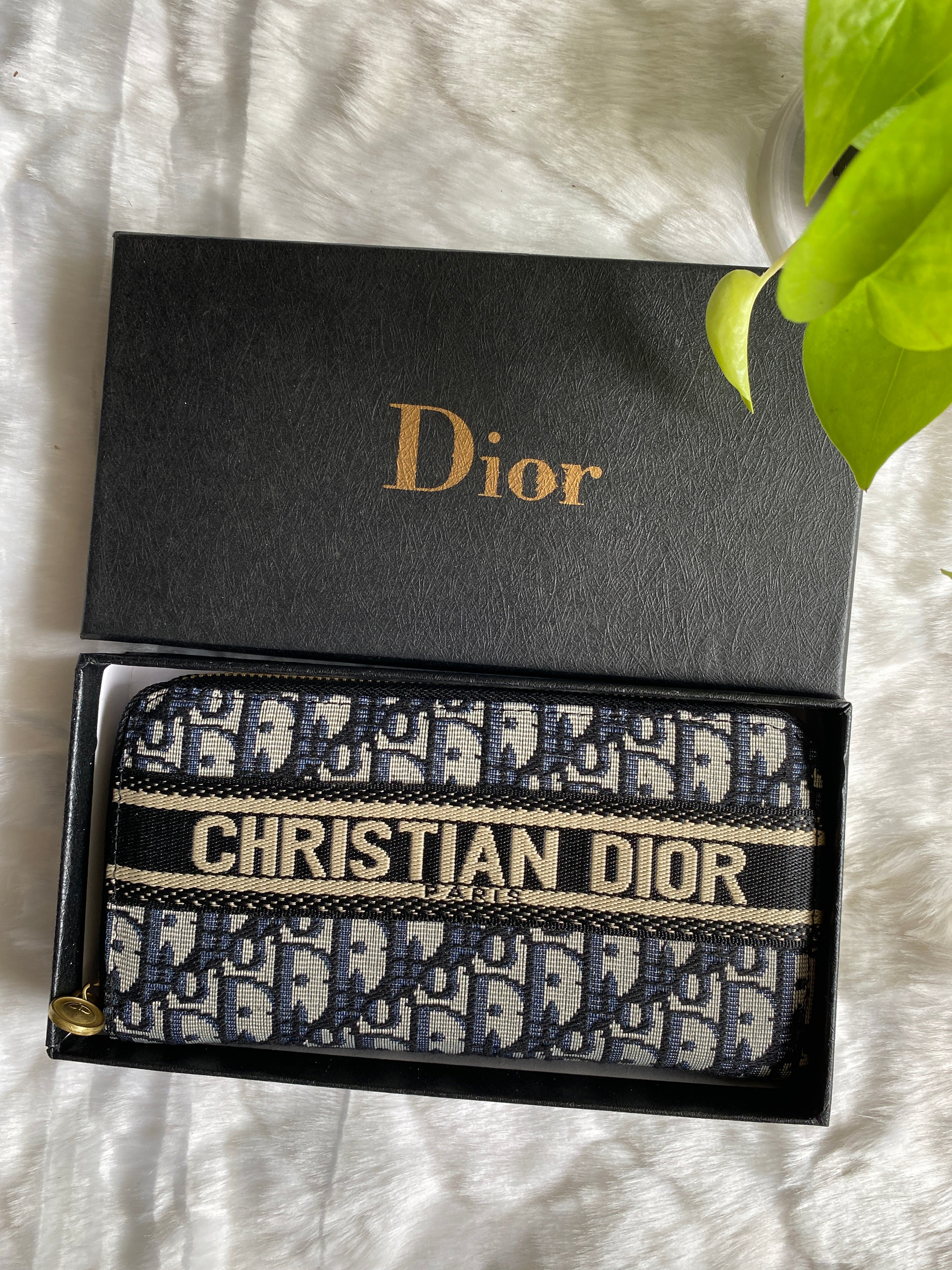 Dior Long Wallet with Zipper