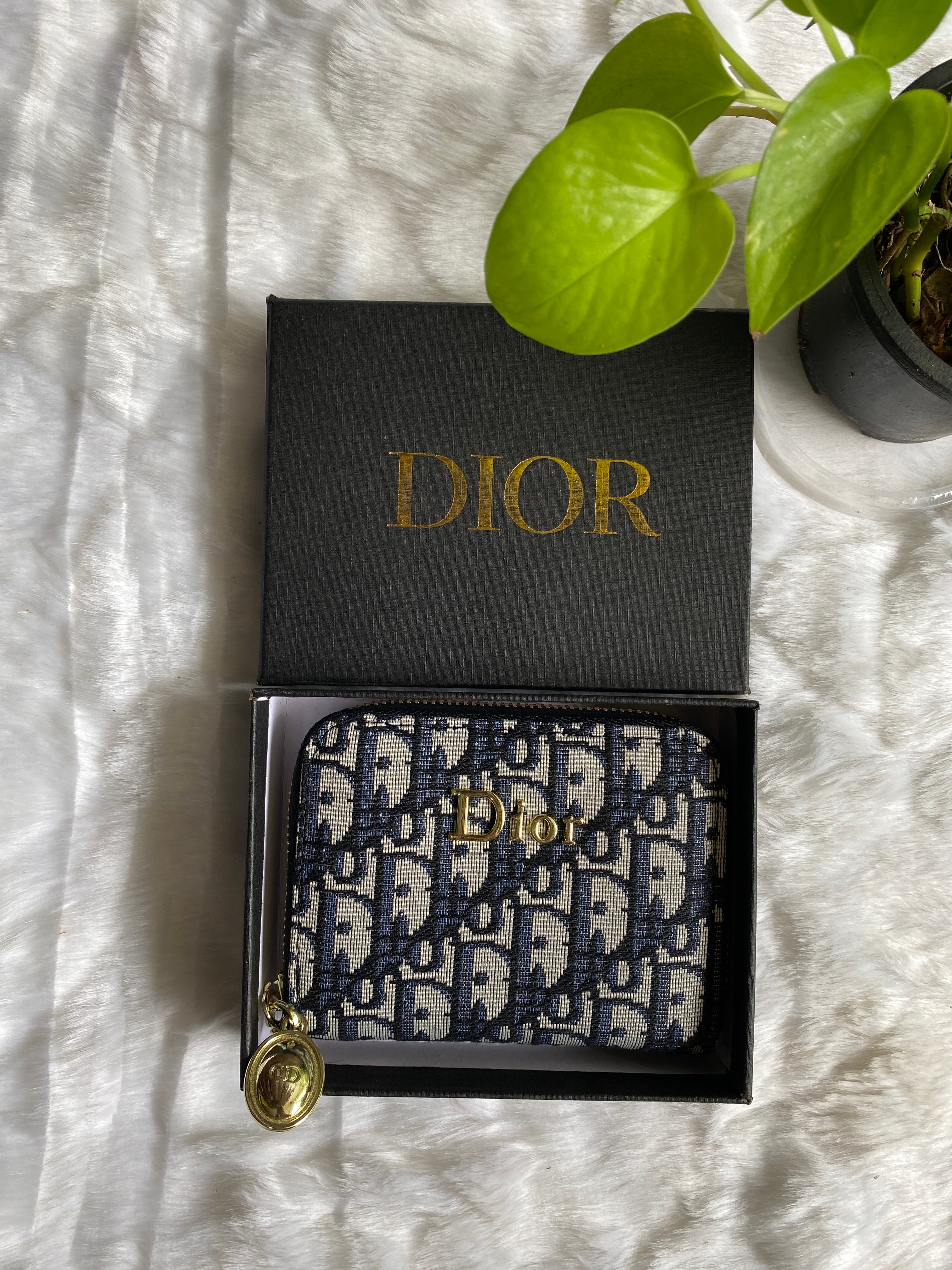 Dior Small Wallet with Zipper