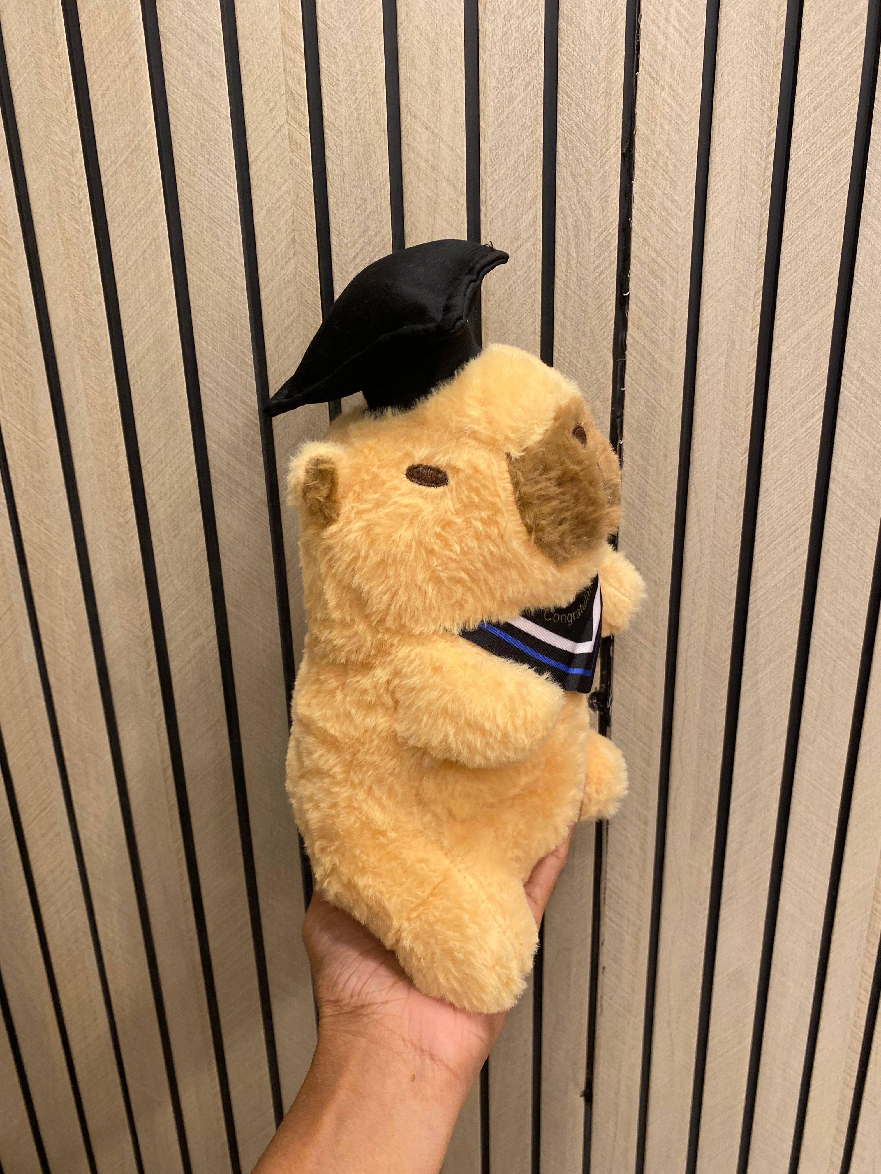 Graduate Bear Plush Toy (1pcs)