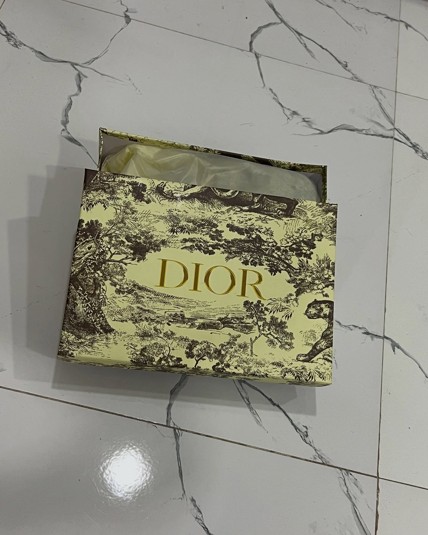 Christine Dior Hand Bag