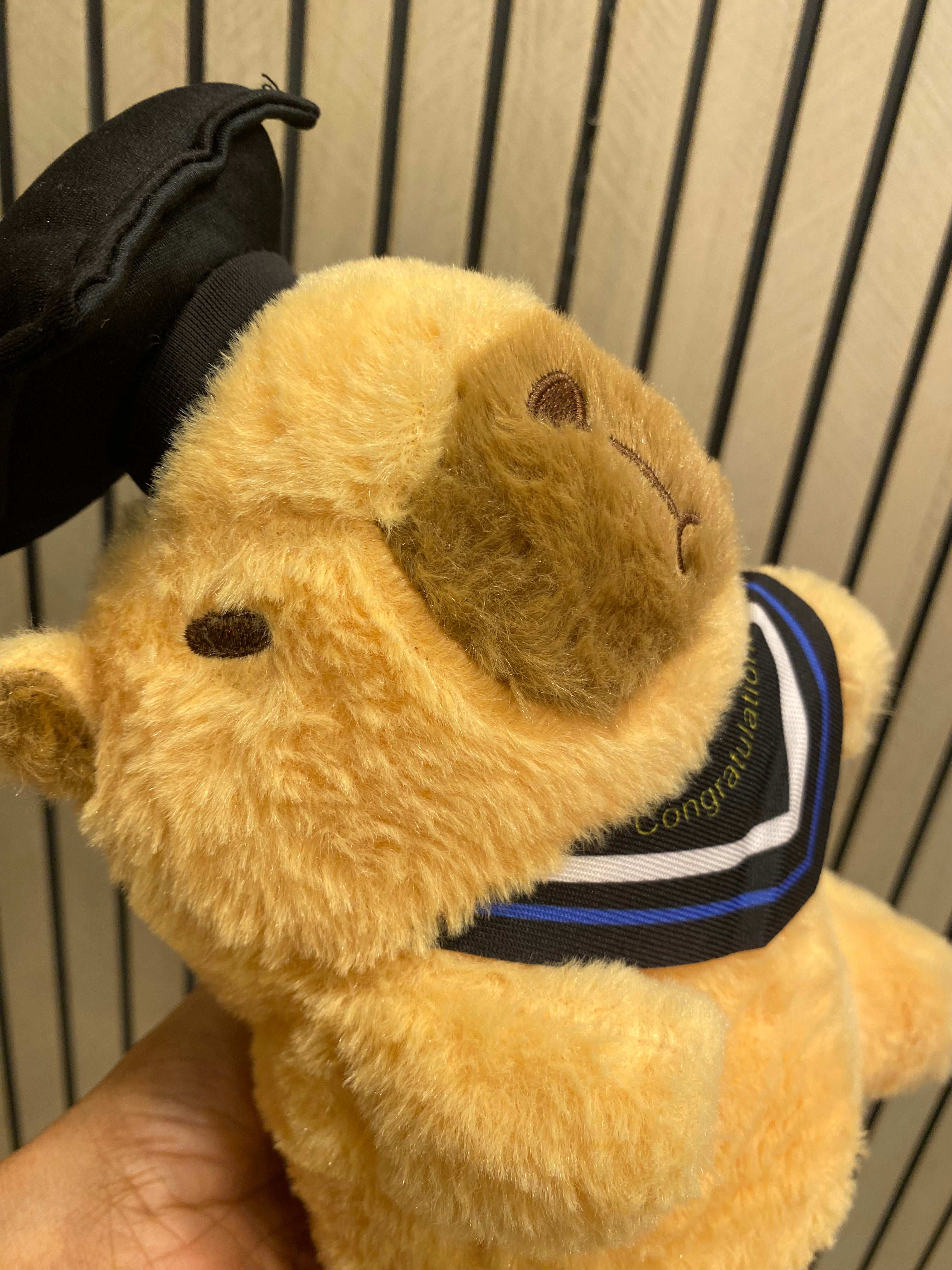 Graduate Bear Plush Toy (1pcs)