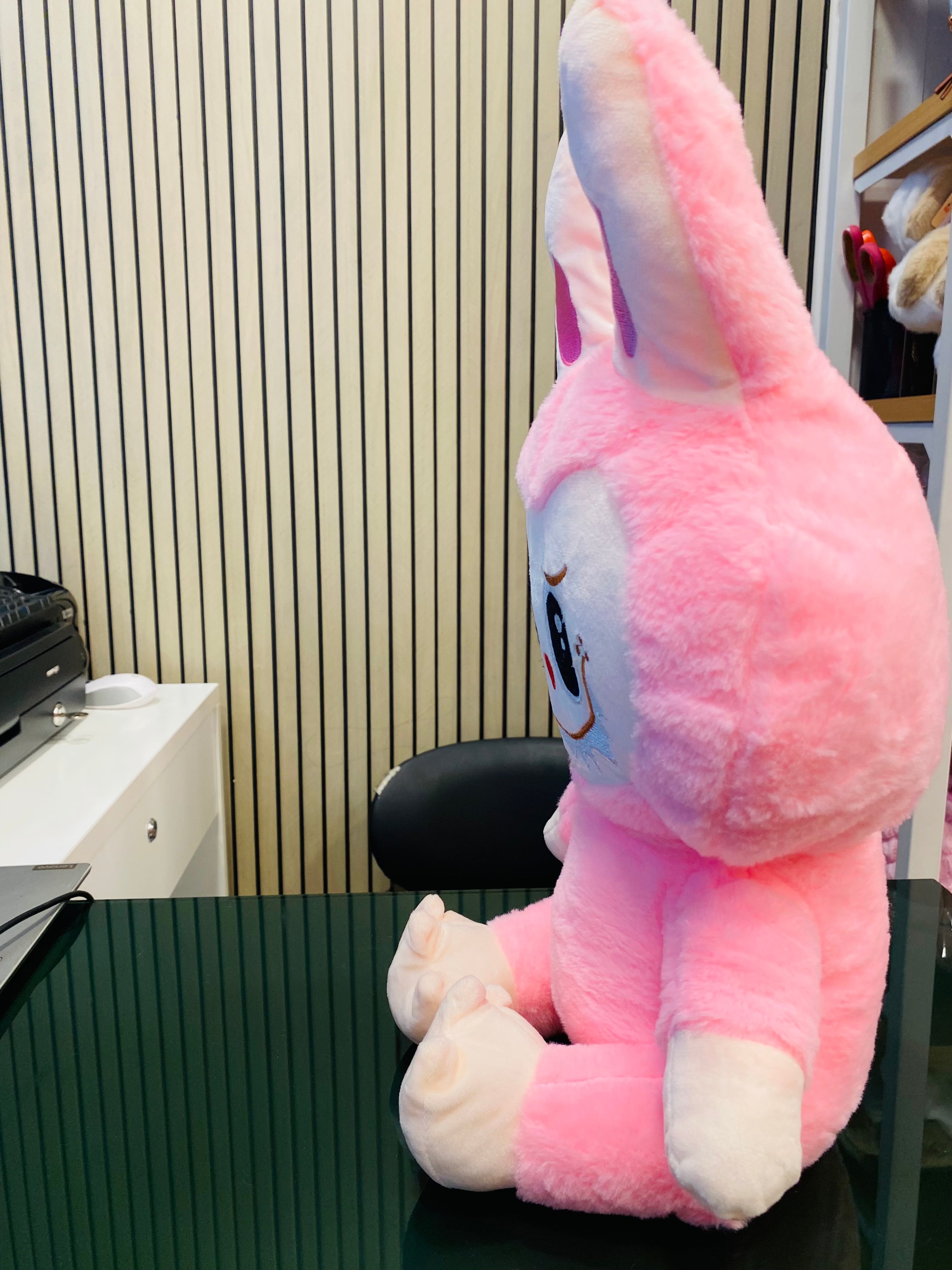 LABUBU Plush Toy Medium