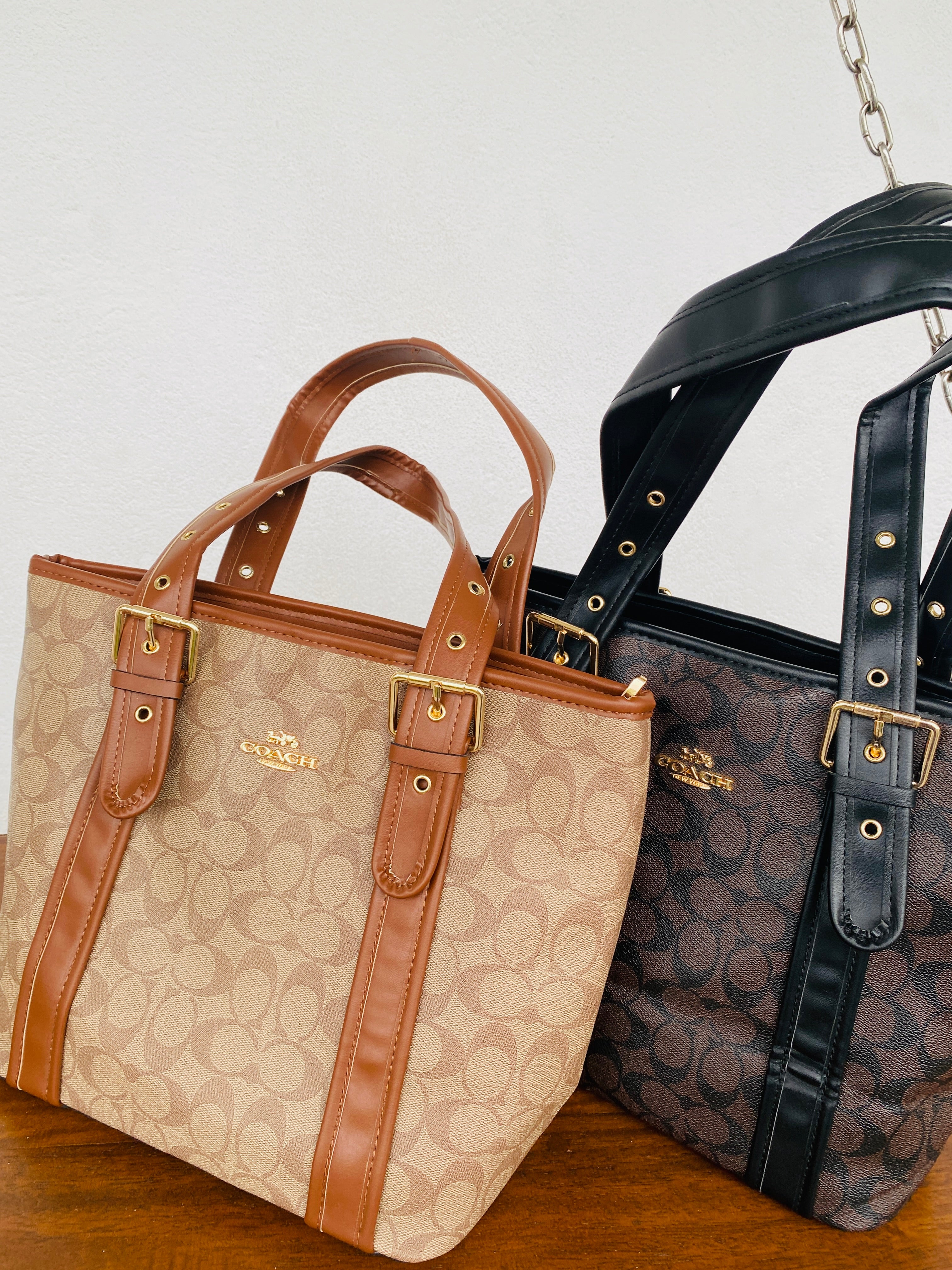 COACH Tote Bag Brown