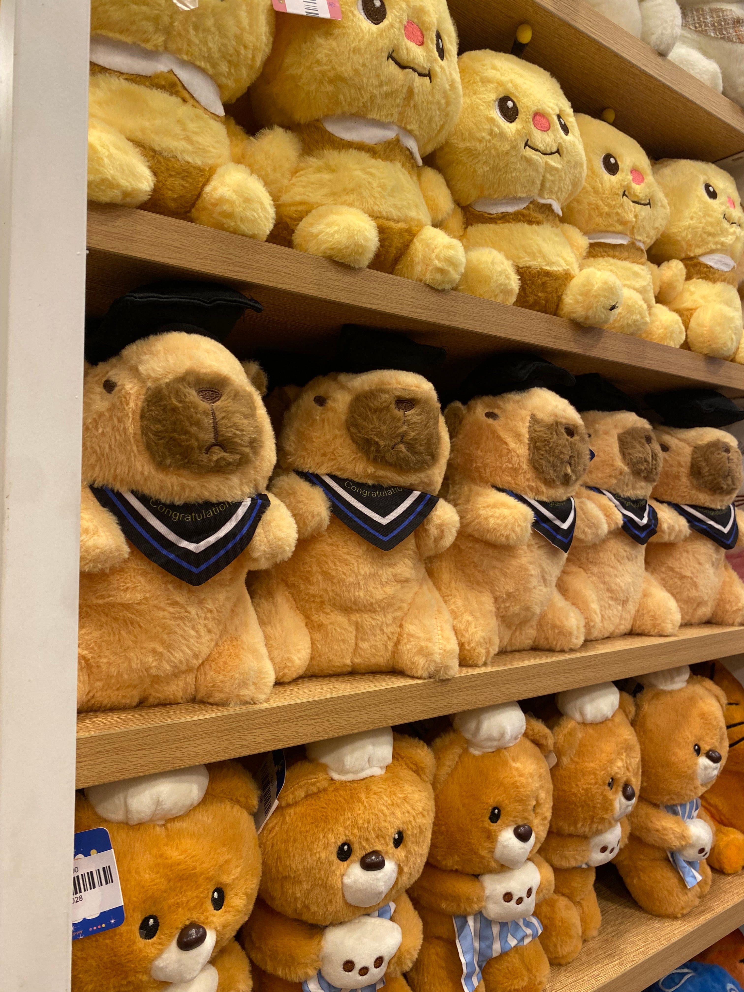 Graduate Bear Plush Toy (1pcs)