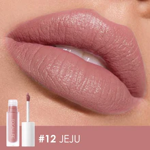 FOCALLURE Staymax Lip ink no