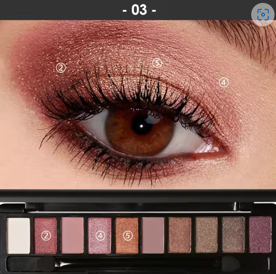 FOCALLURE 10 Color Eyeshadow Palette With Brush